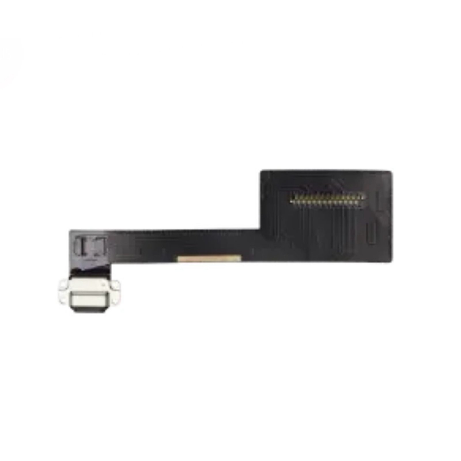 iPad Pro 9.7 inch Charging Port (slv)